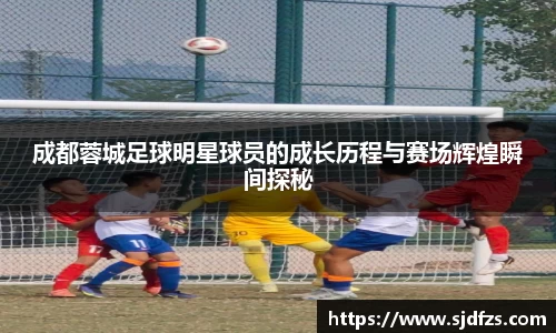 DB电竞官方网站