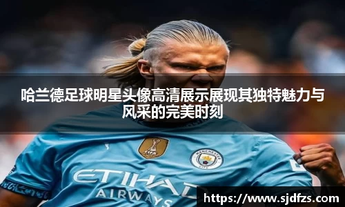 哈兰德足球明星头像高清展示展现其独特魅力与风采的完美时刻